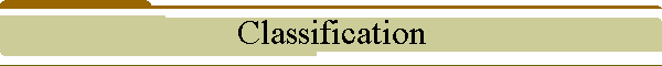Classification